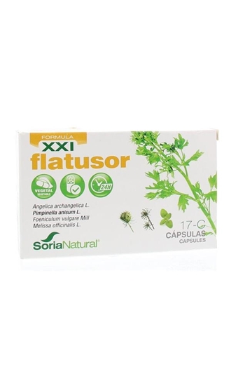 Soria Flatusor XXI 17-C afbeelding