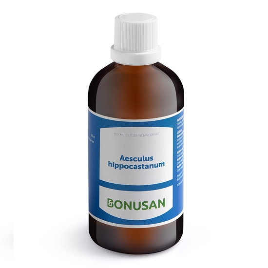 Bonusan Aesculus hippocastanum afbeelding