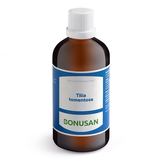 Bonusan Tilia tomentose afbeelding