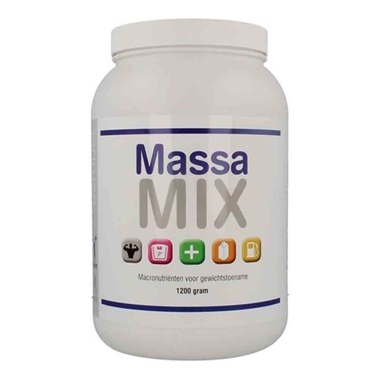 Vitaminsports MassaMix + met beta alanine en creatine afbeelding